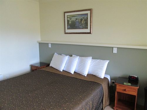 Shortland Court Motel Thames Luaran gambar